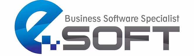 E Soft Business Solution Logo